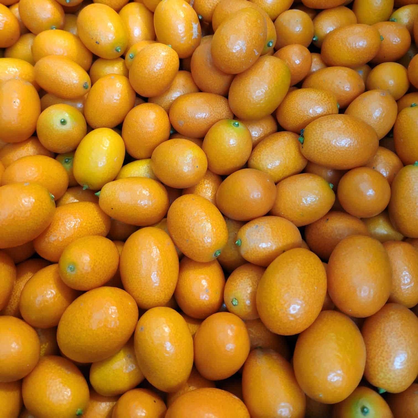 Kumquat De La Huerta De Pancha 250g_0