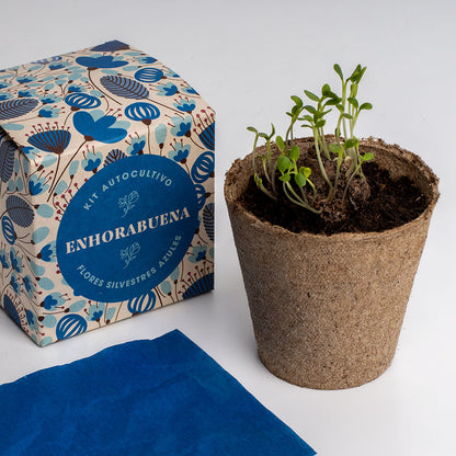 Díselo Con Flores Enhorabuena | Kit Cultivo Flores Silvestres Azules (lino Azul, Nomeolvides Y Flor Celeste)_3