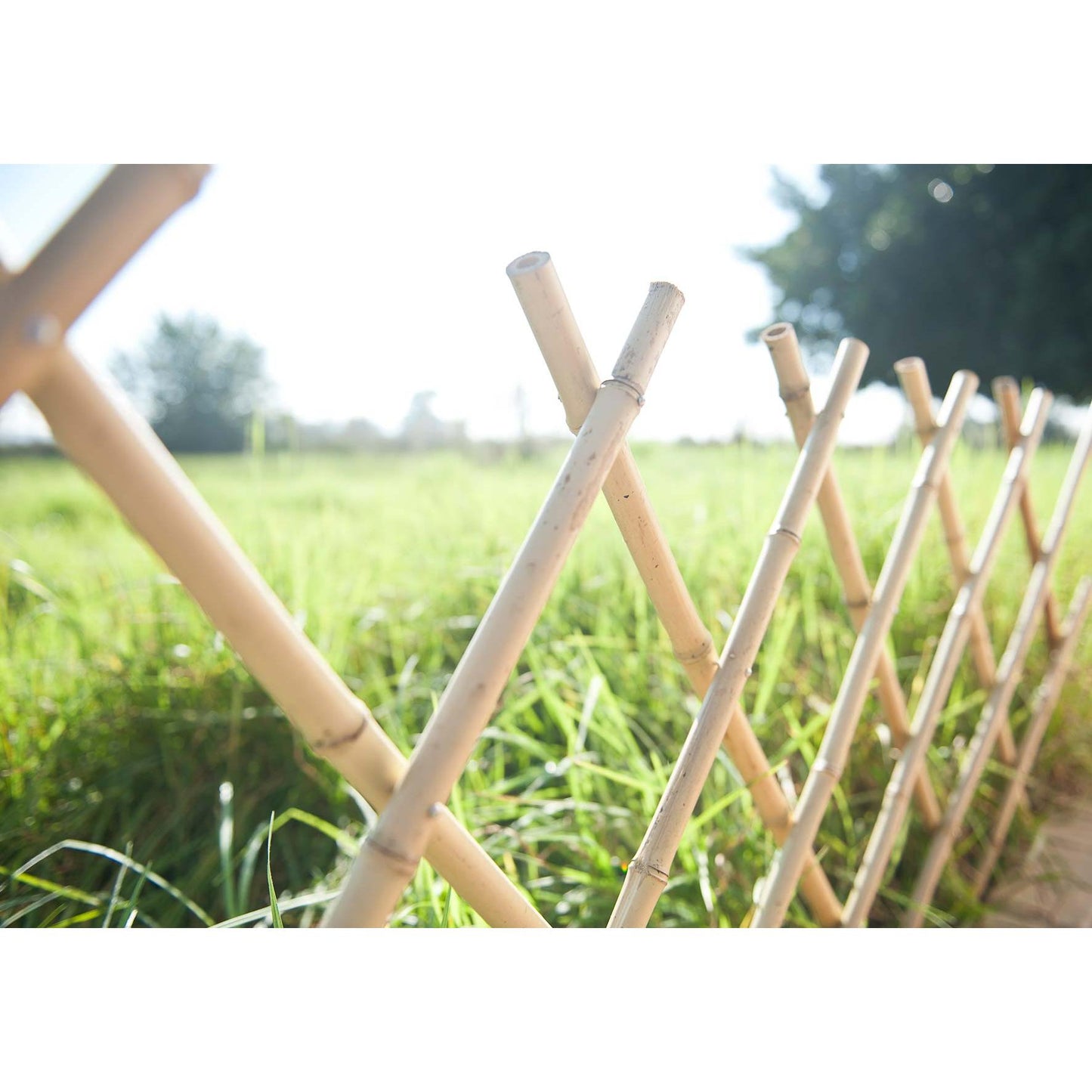 Treliça extensível de bambu natural Faura 1,2 x 2,4 m