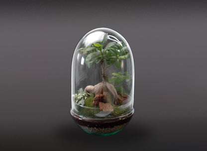 Nanogarden Terrario Jungle In Dome 30x17_1