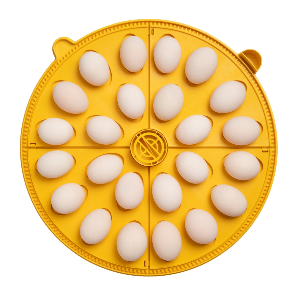 Incubadora Brinsea Maxi 48 Ex - Incubadora Para 48 Huevos De Gallina - Apta Para Diferentes Especies O Tamaños De Huevos_4