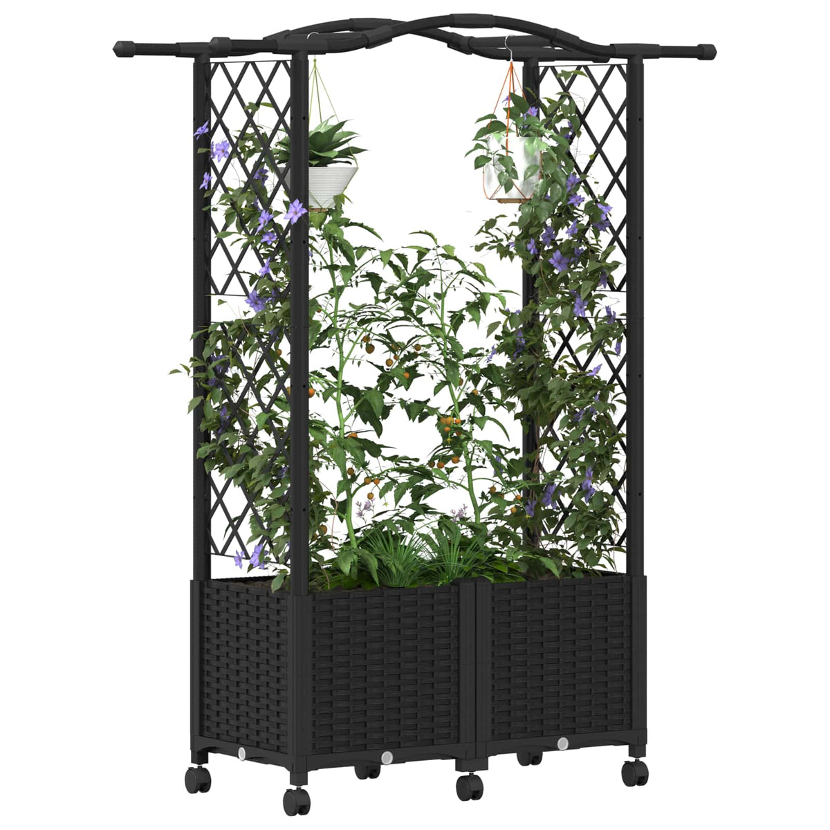 Cama Elevada Con Trellis Y Techo Negro 125 X 40 X 144 Cm Pp_2