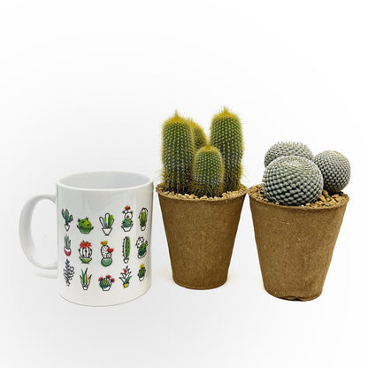 Pack Regalo Día Del Padre Taza Cactus + Plantas_1