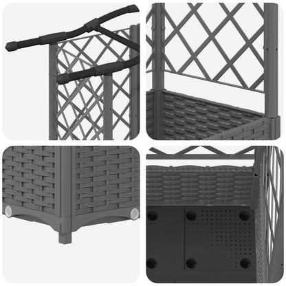 Cama Elevada Con Trellis Y Techo Gris Claro 124 X 40 X 123 Cm_5