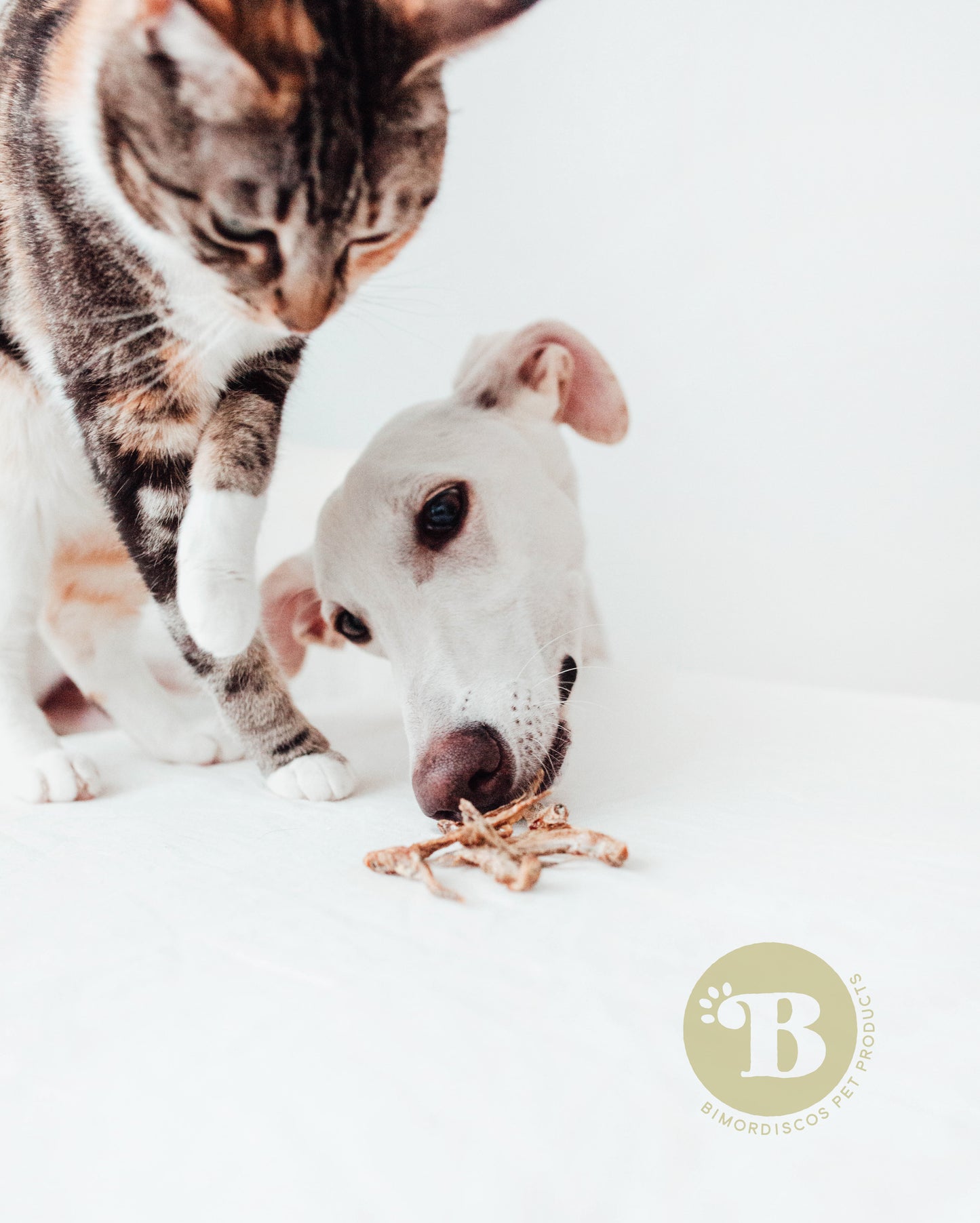 Bimordiscos Pescados Deshidratados Para Perros Y Gatos · 50g.