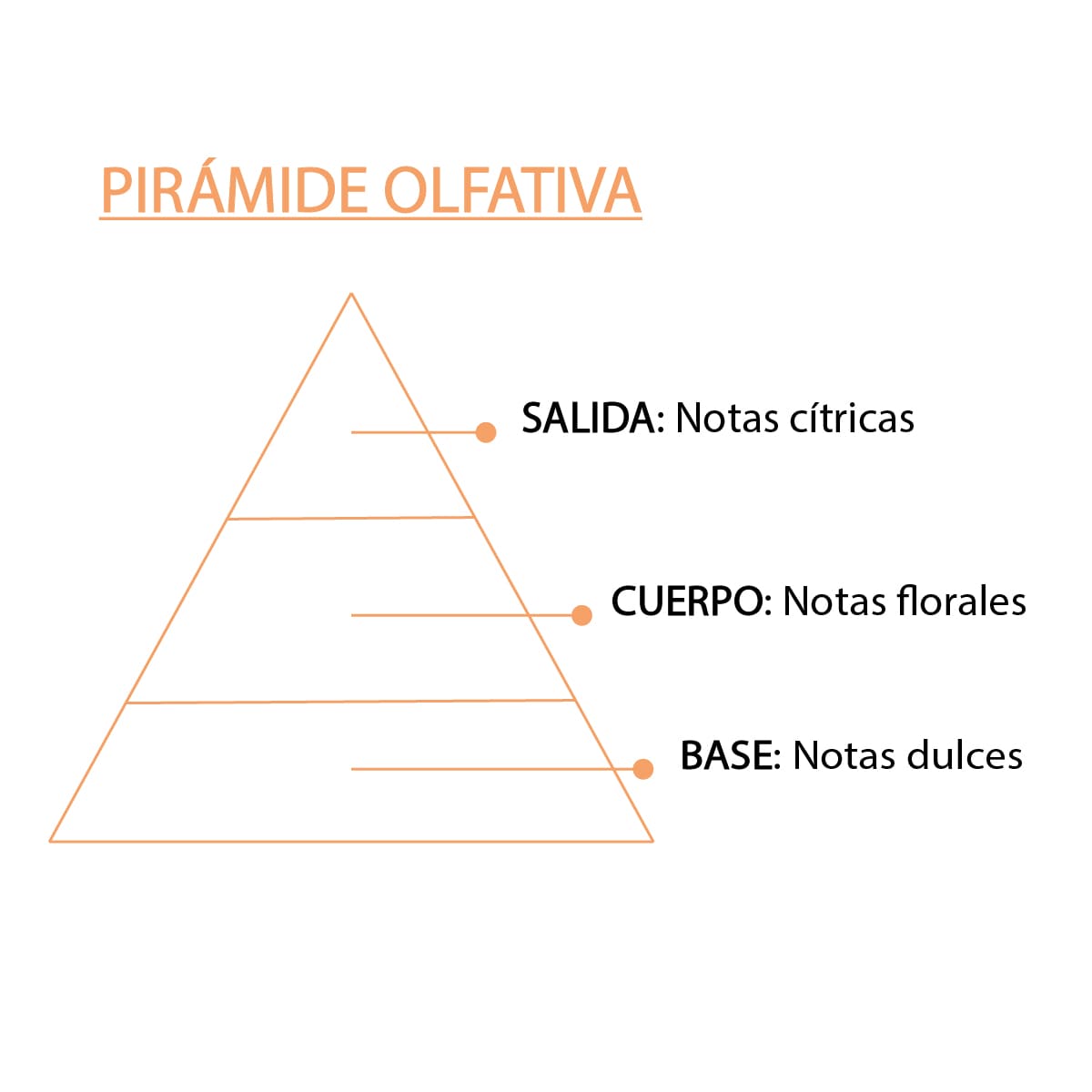 Esencia Natural Naranja 12 ml SYS Aromas | Aroma Cítrico Energizante | Difusores y Aromaterapia_3
