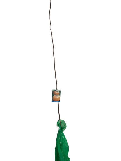 Frutal Kaki Corona Del Rey Cepellón 140 CM_0