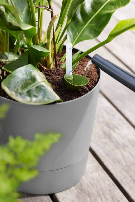 Greensense Aquacare Round Elho vaso auto-irrigável 35 cm betão leve