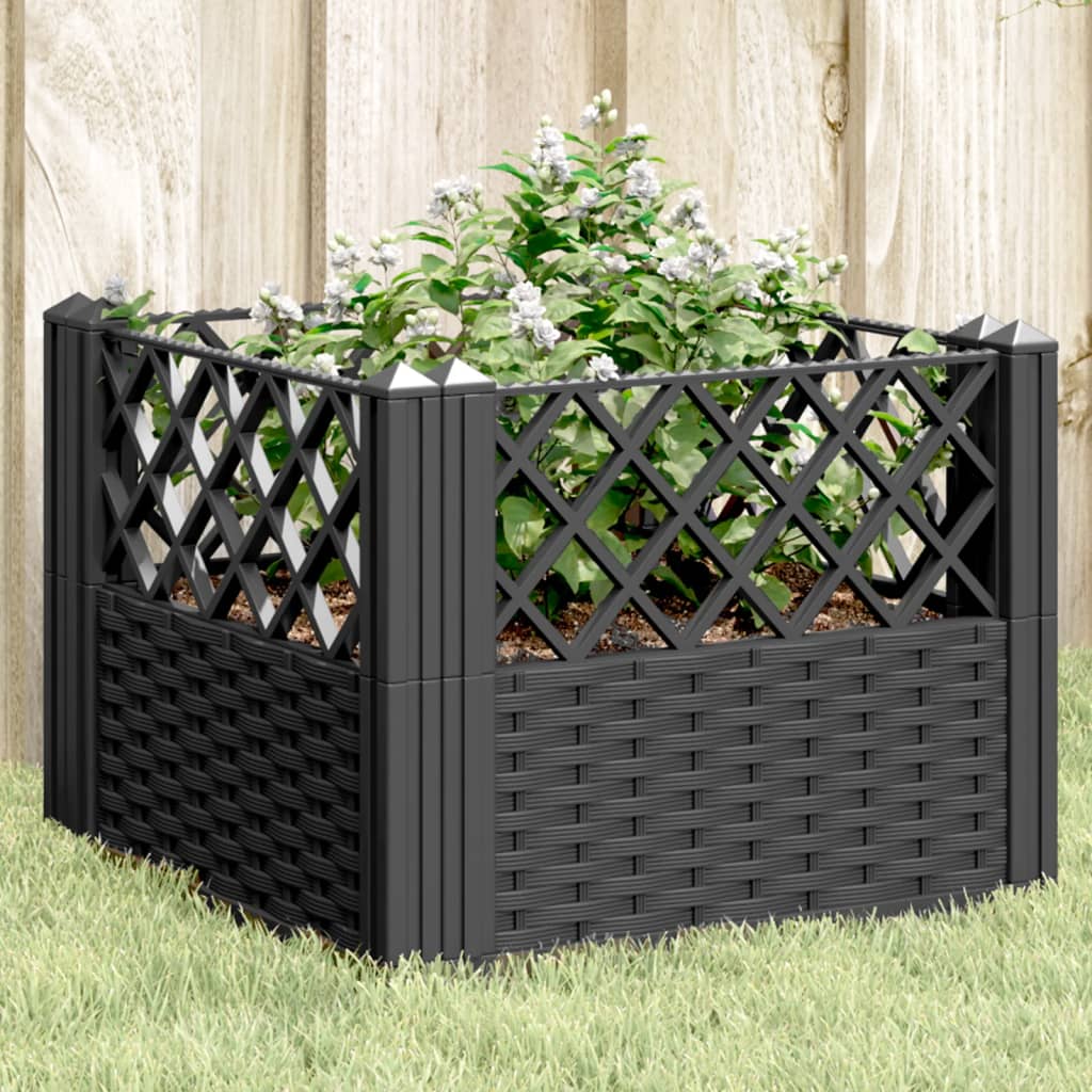 Jardinera Con Clavijas Pp Negro 43,5x43,5x43,5 Cm_1