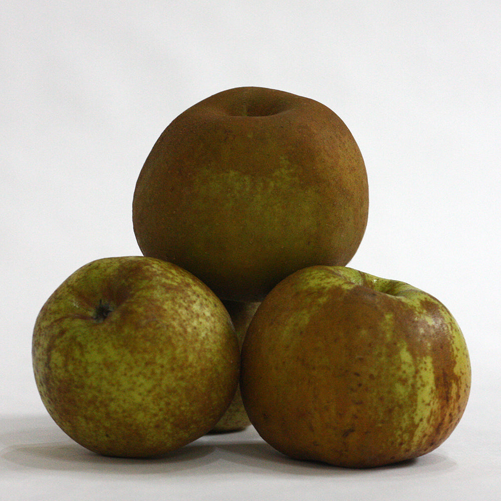 Manzana Reineta + Pera Conferencia Del Bierzo. Caja Mixta 10 Kg_4