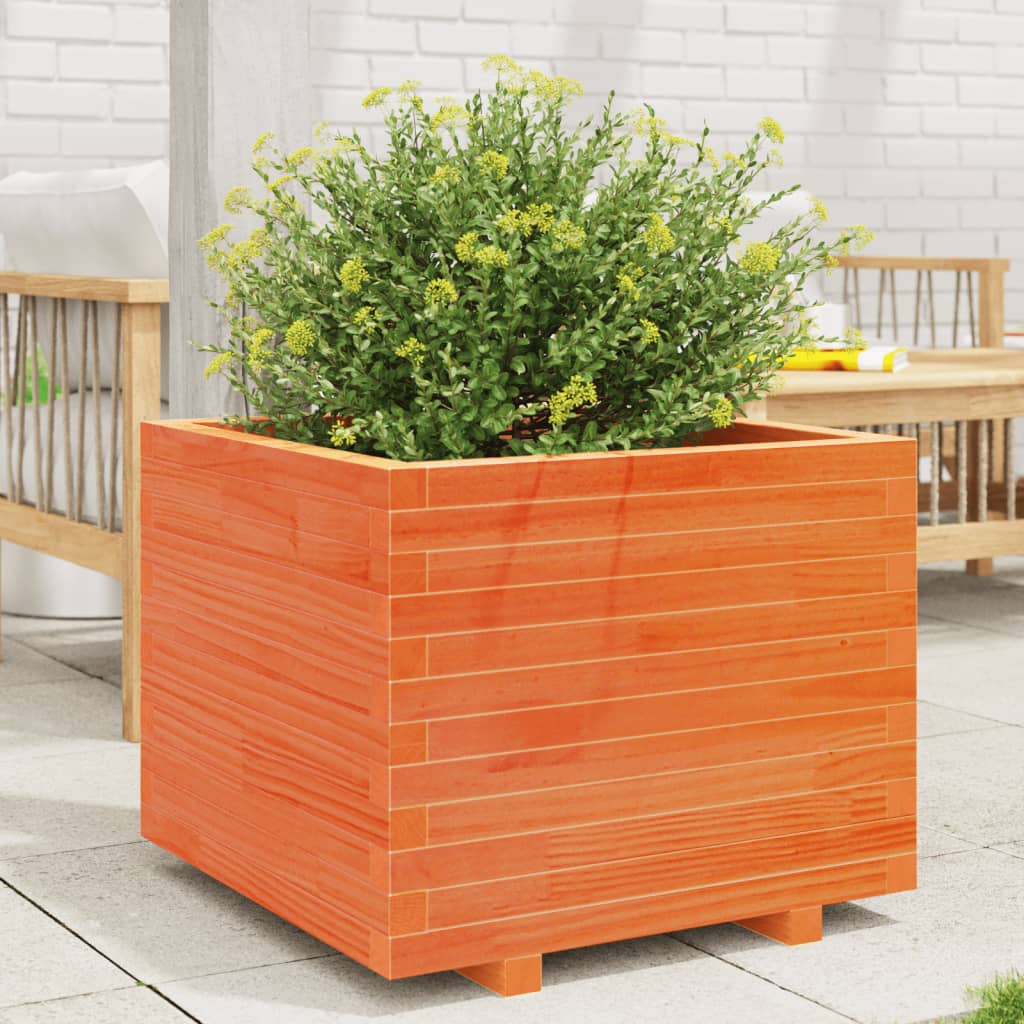 Jardinera Madera Maciza De Pino Marrón Cera 60x60x49,5 Cm_1