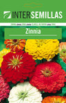 Pacote De Sementes De Zínia