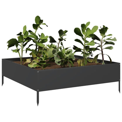Arriate De Acero Negro 100x100x26 Cm_2