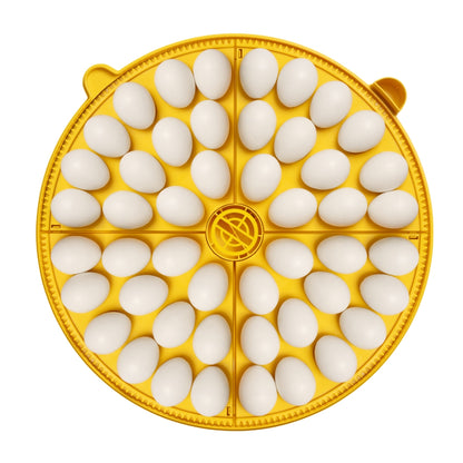 Incubadora Brinsea Maxi 48 Advance - Incubadora Para Huevos De Diferentes Especies De Ave - Con Volteo Automático_4