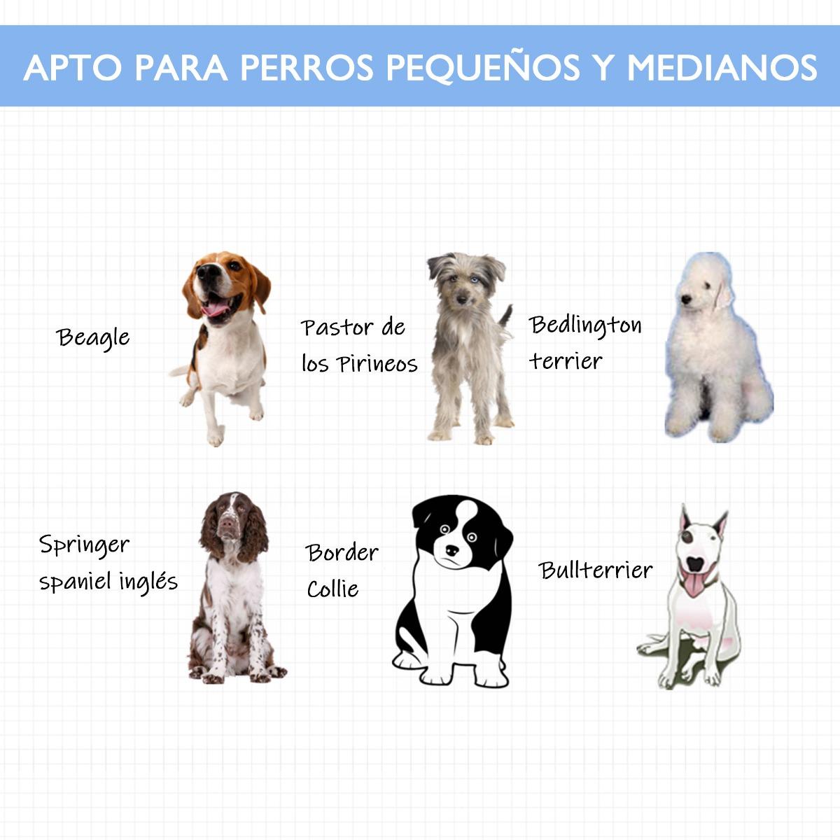 Gaiola para cães PawHut 122x77x82 cm - Preta