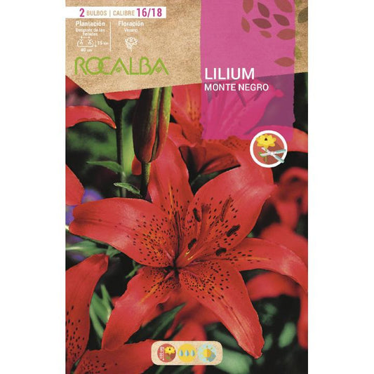 Bulbo Lilium Monte Negro Vermelho 2 unidades (16/18)