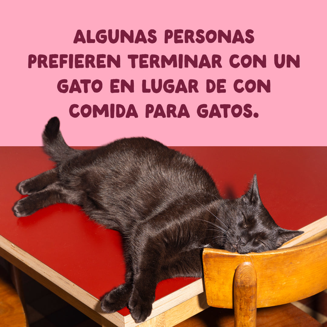 Filetes de pollo con gambas para gatos Edgard & Cooper 70 g
