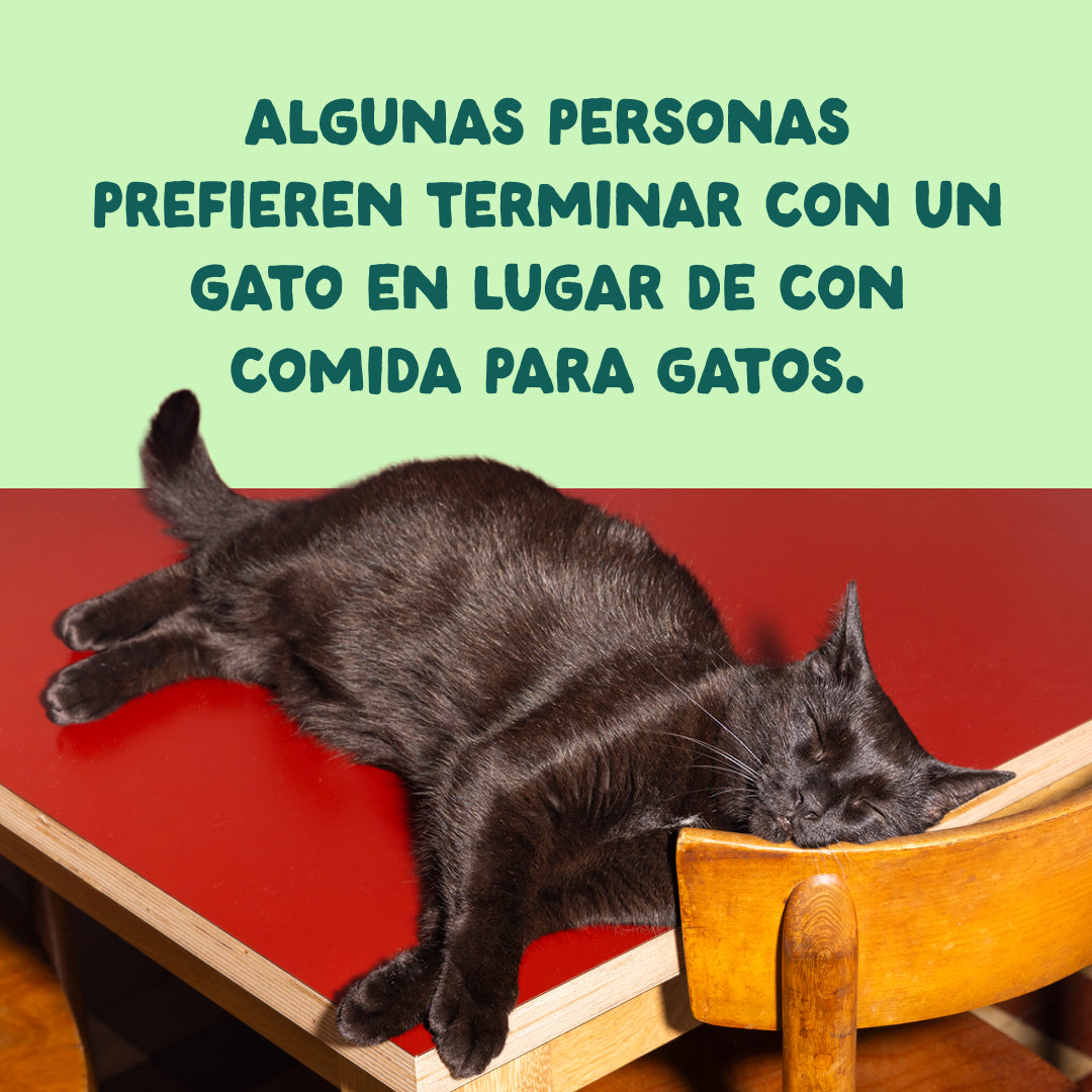 Filetes de salmón y caballa para gatos Edgard & Cooper 70 g