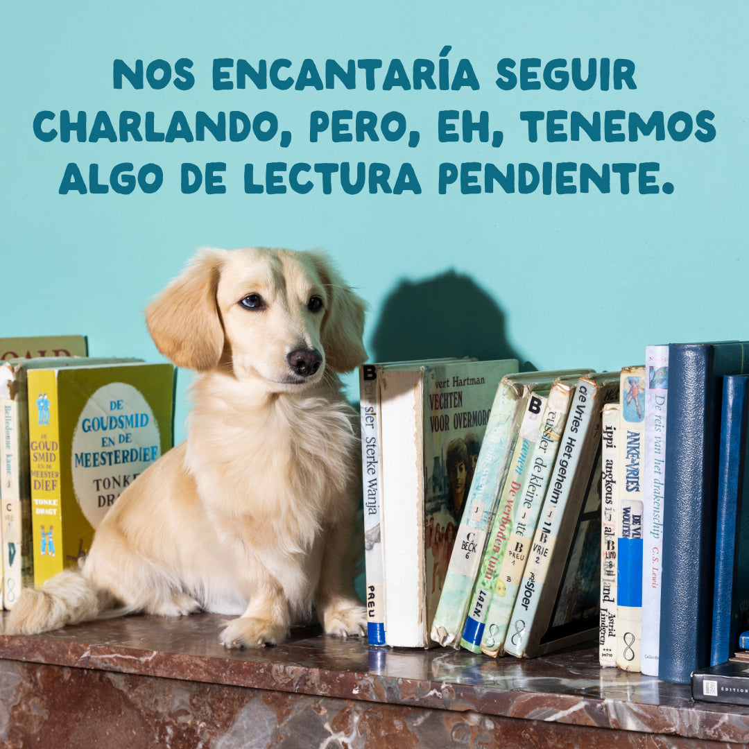 Multipack Guiso para perro Edgard & Cooper 8x150 g
