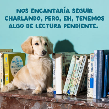 Multipack Guiso para perro Edgard &amp; Cooper 8x150 g