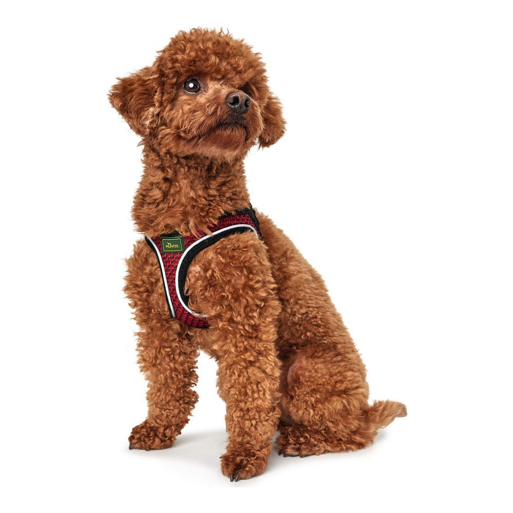 Arnés Para Perros Hunter Hilo-comfort Rojo Talla Xxs (26-30 Cm)_0