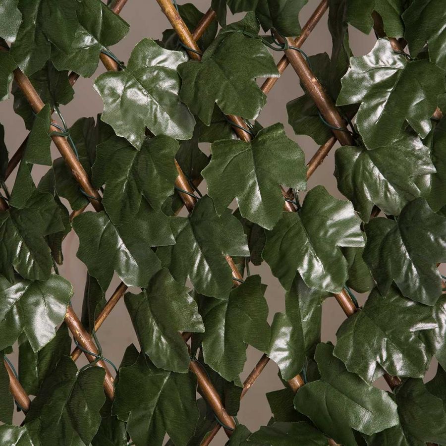 Celosia Extensible Con Hojas Basic 1x3 M_1