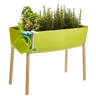 Horta urbana infantil Verdemax