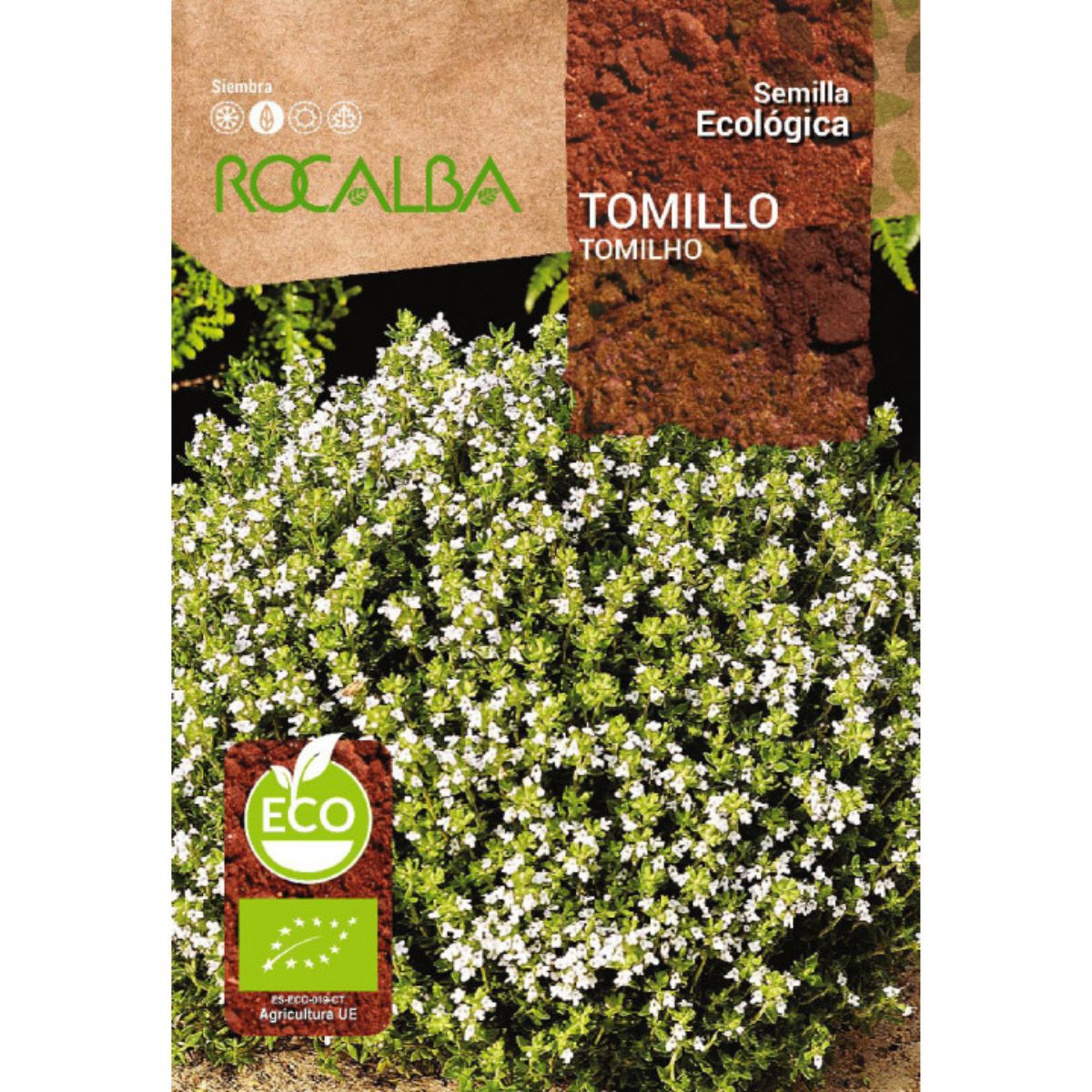 Sementes de tomilho biológico Rocalba