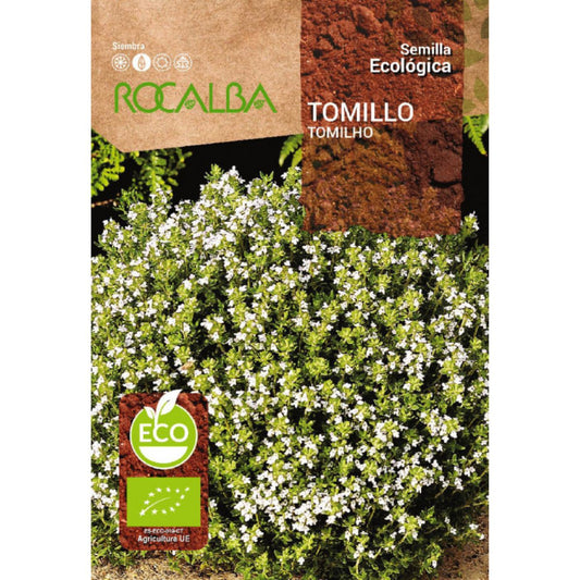Sementes de tomilho biológico Rocalba