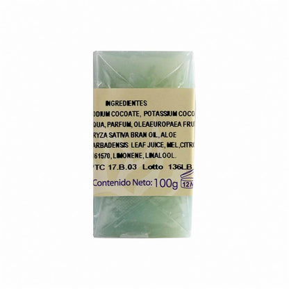 Sabonete Natural de Aloé Vera 100 Gr Ynsadiet