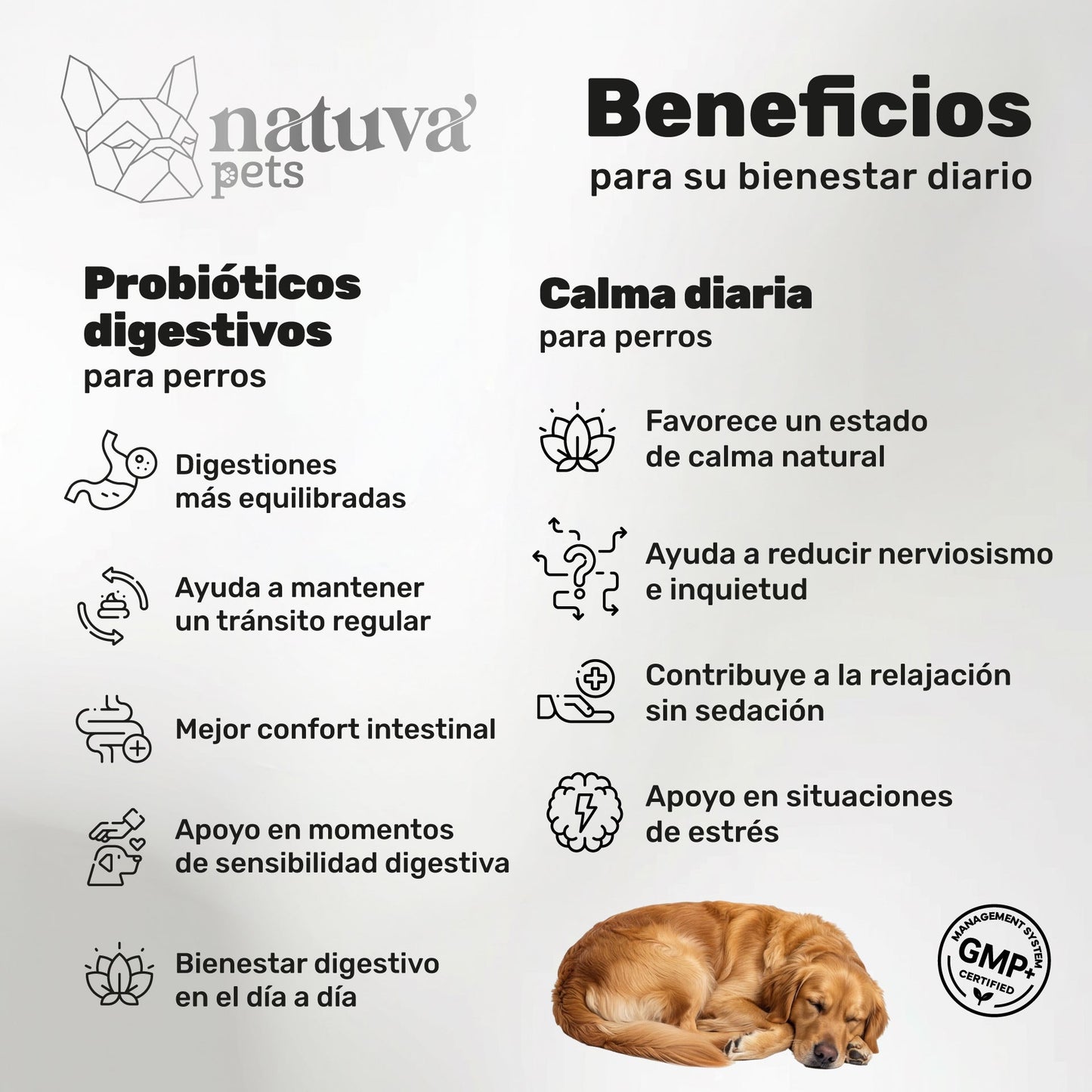 Pack Probiótico + Calmante Para Perros. Digestión Y Calma. Suplementos Mascotas. 240 Masticables. Natuva Pets_1