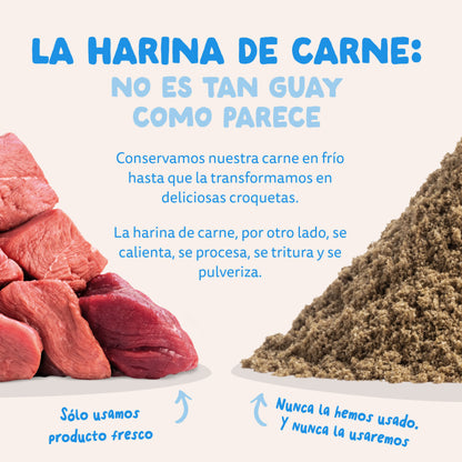 Ração para cães Edgard &amp;amp; Cooper Norwegian Salmon 1 kg