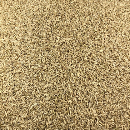 Arroz Basmati Integral Ecológico A Granel 10 Kg_2