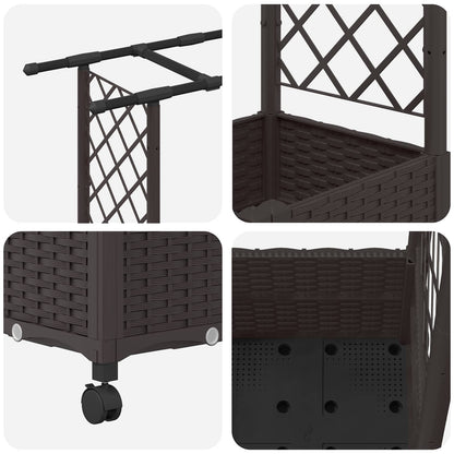 Cama Elevada Con Trellis Y Techo Marrón 162,5 X 40 X 142 Cm Pp_5