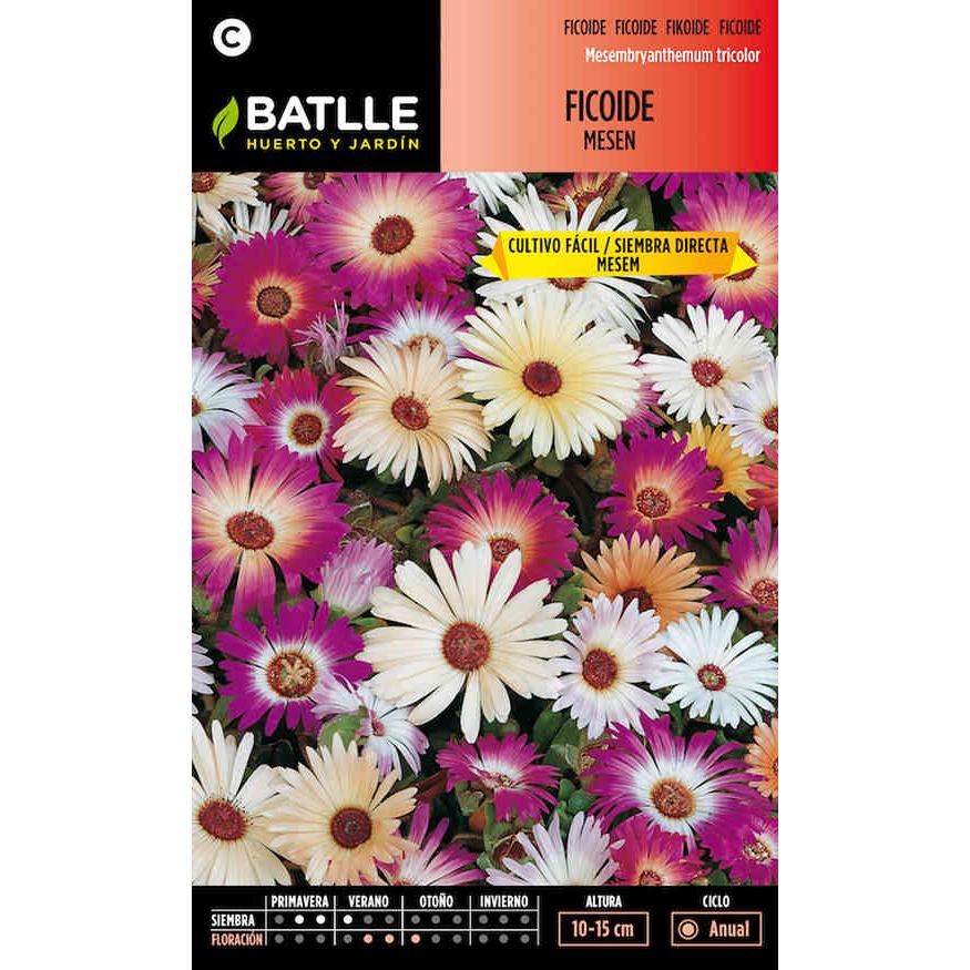 Sementes de Ficoide Messen