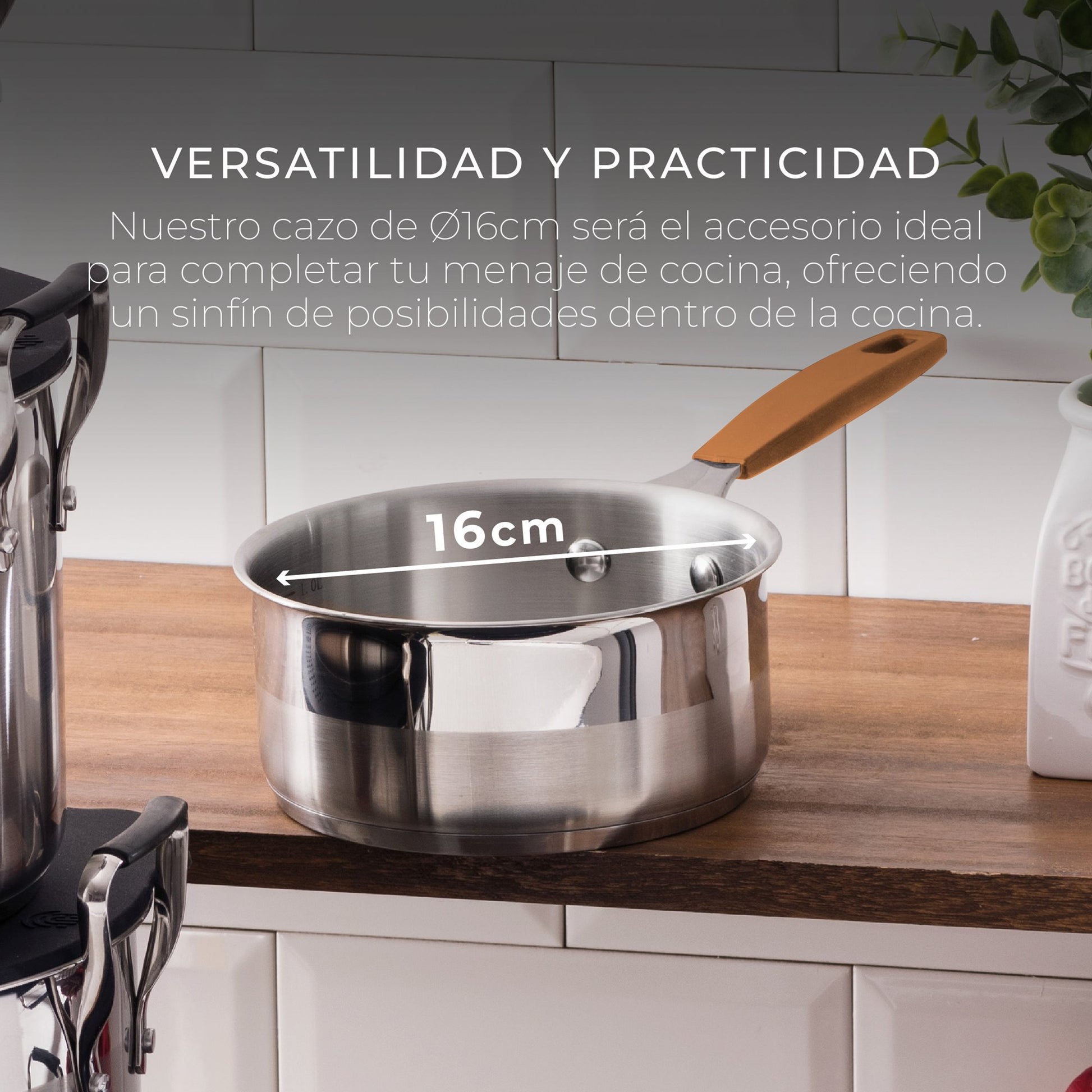 Cazo 16cm S/s Inducción Compact_1