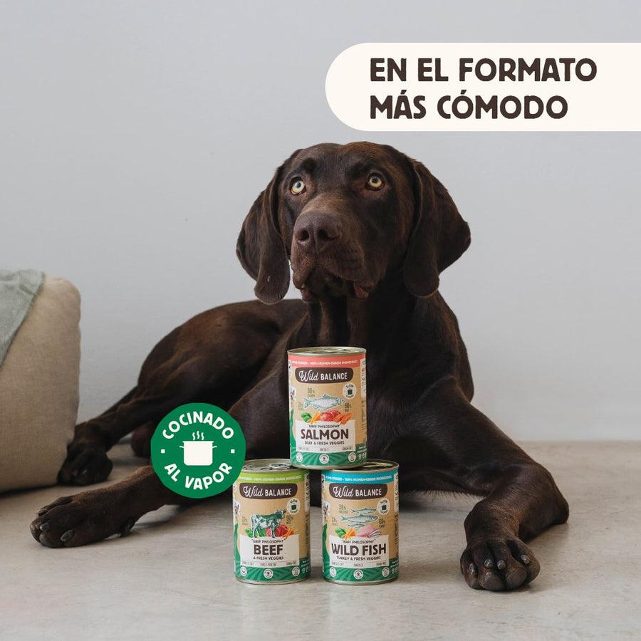 Wild Balance Salmão e Carne Barf Lata para Cães 400g