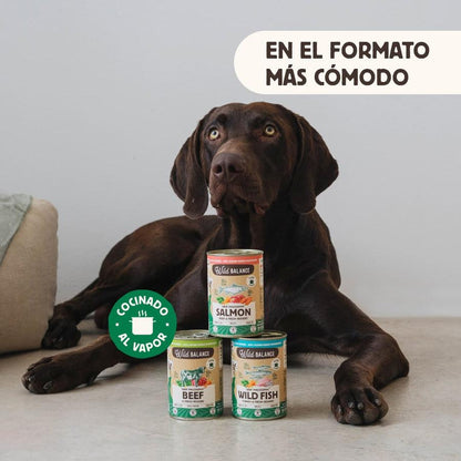 Wild Balance Salmão e Carne Barf Pack para Cães 6x400g