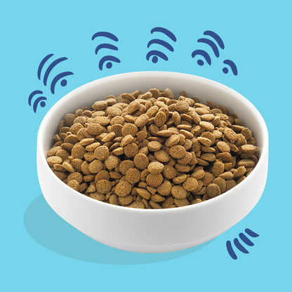 Ração para cães Edgard &amp; Cooper Norwegian Salmon 7 kg