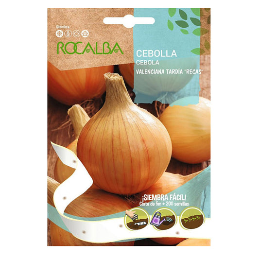 Sementes de cebola valenciana tardia em fitas, Rocalba