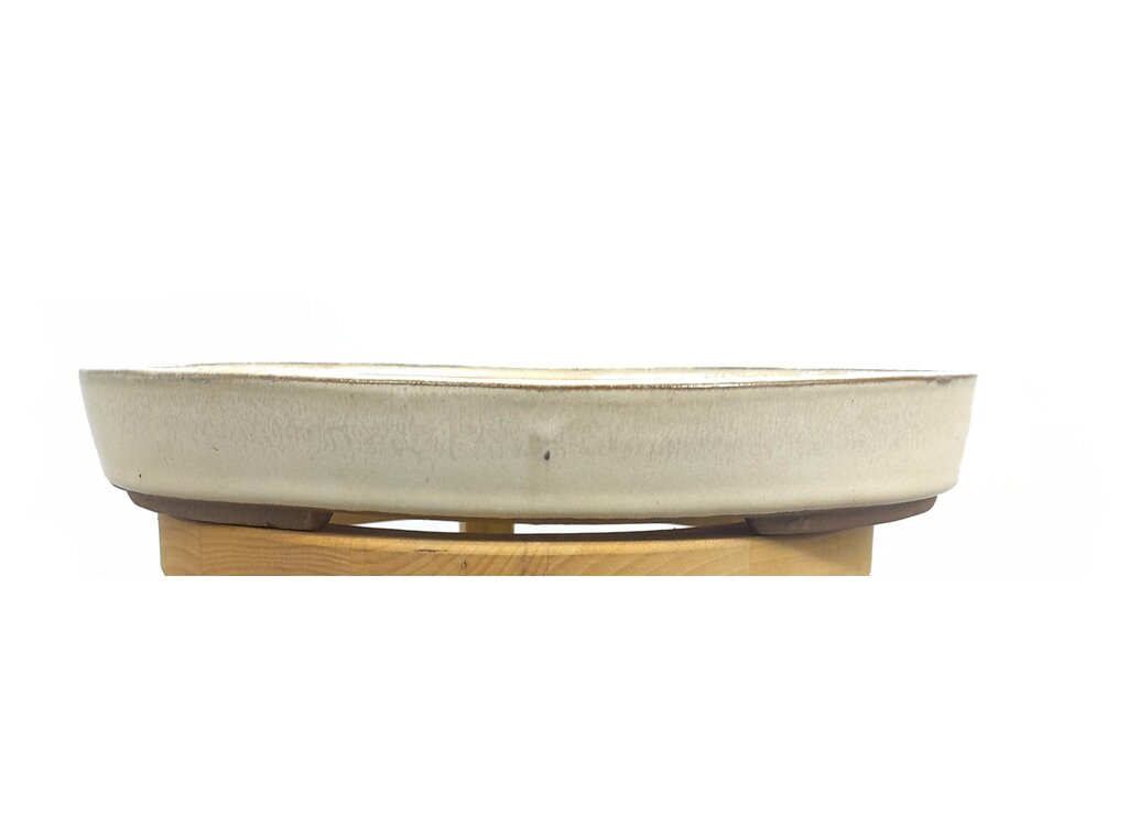 Tiesto Bonsai Oval Crema 25x17.5x4cm_0