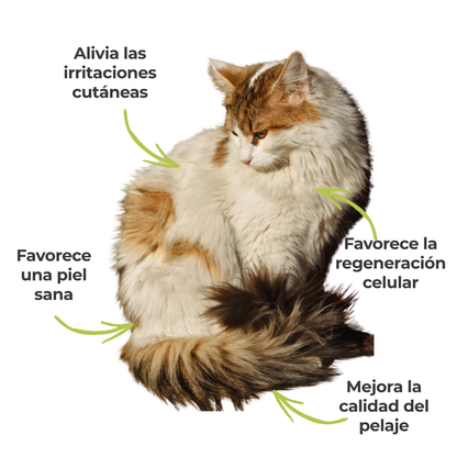 Suplemento natural para perros y gatos – Fórmula Cuidado de la Piel ECO 100 g