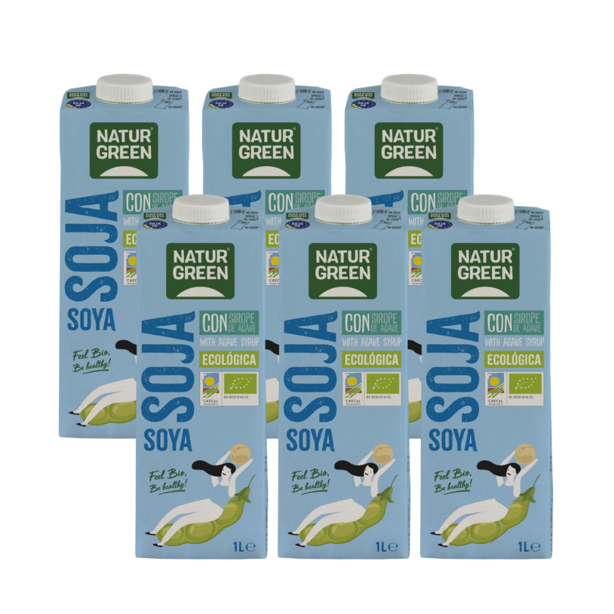 Pacote de Bebida de Soja Biológica com Xarope de Agave NaturGreen 6L