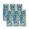 Pacote de Bebida de Soja Biológica com Xarope de Agave NaturGreen 6L