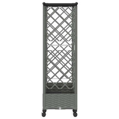 Cama Elevada Con Trellis Y Techo Gris Claro 202,5 X 40 X 127 Cm_3