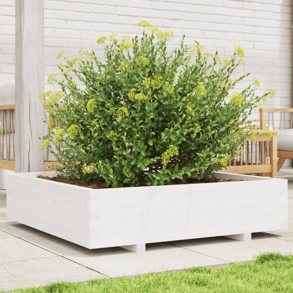 Jardinera Madera Maciza De Pino Blanco 100x100x26,5 Cm_1