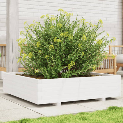 Jardinera Madera Maciza De Pino Blanco 100x100x26,5 Cm_1