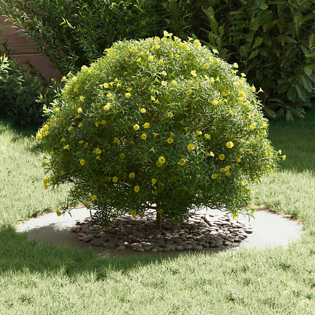 Adecuado Para Anillos De Árbol Plano 5 Uds. Ø50/80 Cm Acero_2