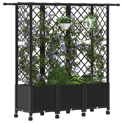 Cama Elevada Con Trellis Y Techo Negro 163,5 X 40 X 142 Cm Pp_2
