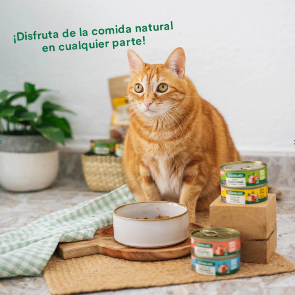 Caçarola de Frango Wild Balance para Gatos lata de 80g